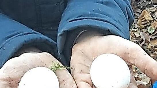 Alle rohen Eier blieben heil.