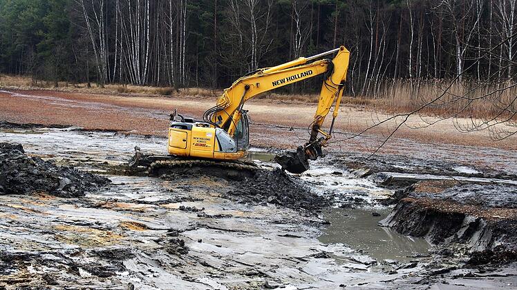 Mit Baggern rückte die Iphofener Firma Haupt an, um die weitere Verlandung des Baunachsees zu verhindern. Die Arbeiten dort sidn inzwischen abgeschlossen. Foto: