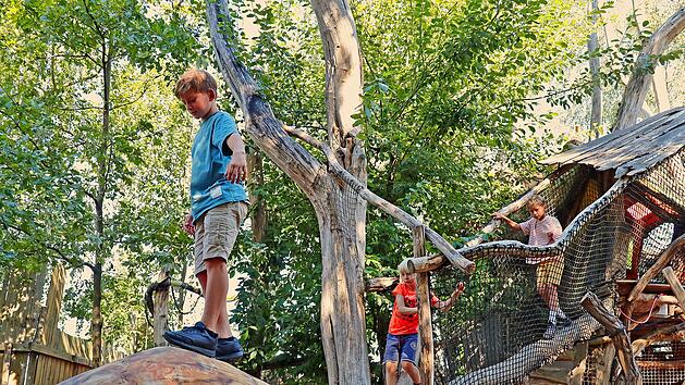 &Ouml;ko-Freizeitpark in Grimma - ArkaZien Baumstammklettern