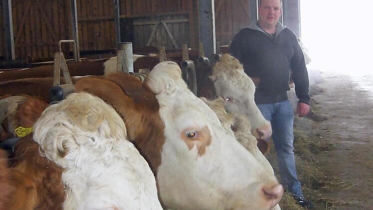 Landwirt Harald Beck in seinem modernen StallFoto: Beatrix Lieb
