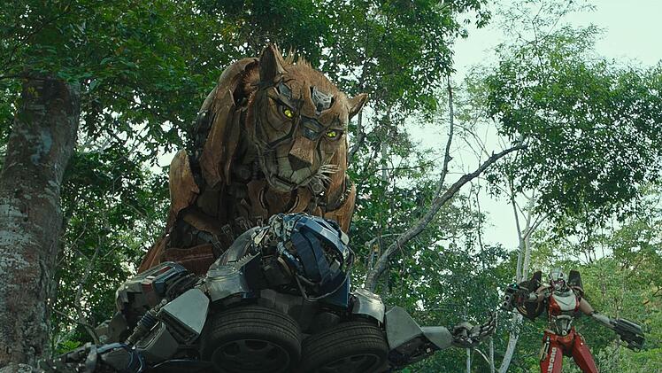Die Maximals, Transformers in Tiergestalt, sind eine pr&auml;historische, mit den Autobots verwandte Rasse, die durch die Zeit reist, um das Leben zu sch&uuml;tzen.