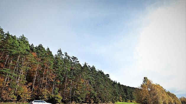 Eine &uuml;ber 40 Hektar gro&szlig;e Vorrangfl&auml;che h&auml;lt der Harsdorfer Gemeinderat f&uuml;r die Errichtung von drei Windenergieanlagen im "Laitscher Wald" f&uuml;r geeignet. Drehen sich dort in naher Zukunft die Windr&auml;der?