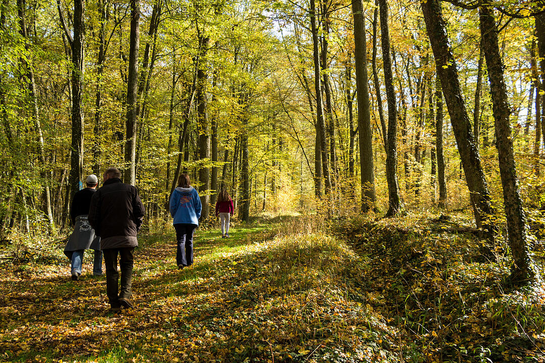 Fotos Konrad Thomann