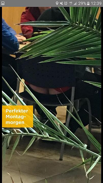 Die besten Jodel-Sprüche aus Nürnberg und Erlangen