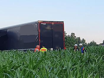 In einem Maisfeld ist der Sattelzug zum Stehen gekommen.