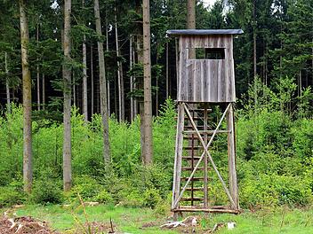 Jagdstand in Obertrubach beschädigt