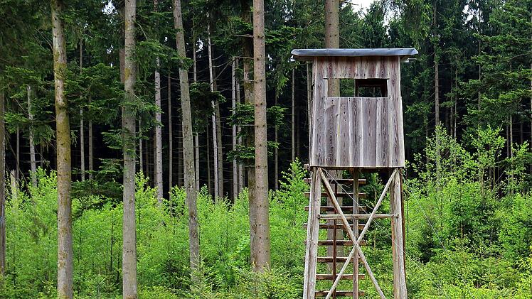 Volkach: Plötzlich löste sich ein Schuss - Jäger schläft in Hochsitz ein und schießt sich selbst an