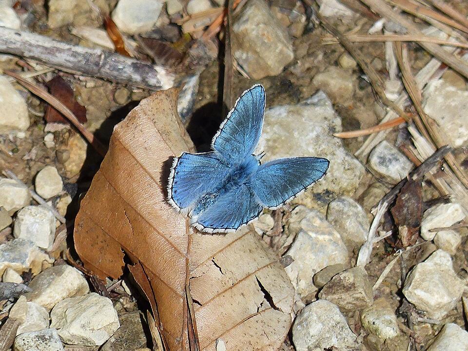 Die schönsten Fotos im Mai aus Bad Kissingen und Umgebung