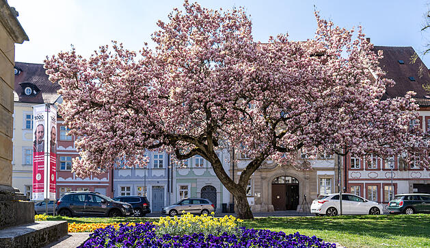 Bamberg im Frühling.
