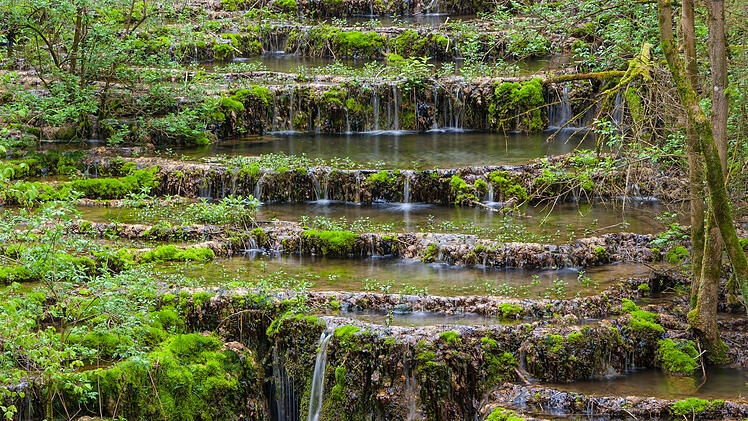 Lillachtal Sinterstufen Wei&szlig;enohe Wanderung Franken Fr&auml;nkische Schweiz Kalktuff Naturwunder Geotop Fr&uuml;hling Wandern Bayern Naturdenkmal Bachbett Kaskaden Moos Naturschutz Ausflug Sehensw&uuml;rdigkeit Landkreis Forchheim Wanderweg Natur Wasserfall geologisch Oberfranken Wandertipp Fr&uuml;hjahr Naturerlebnis Teufelsgraben Lillachquelle