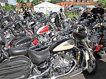 Cruiser wie dieser sind recht selten. Foto: Mathias Erlwein