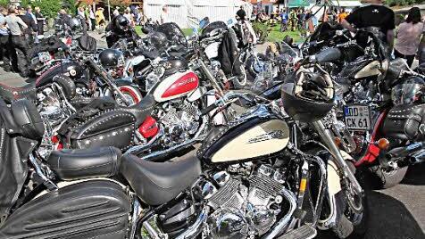 Cruiser wie dieser sind recht selten. Foto: Mathias Erlwein