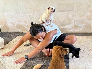 Wellness-Trend Puppy Yoga