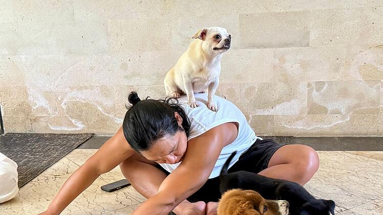 Wellness-Trend Puppy Yoga