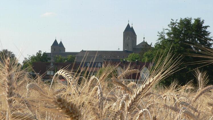 Die Abtei Münsterschwarzach im Sommer Foto: Matthias Litzlfelder