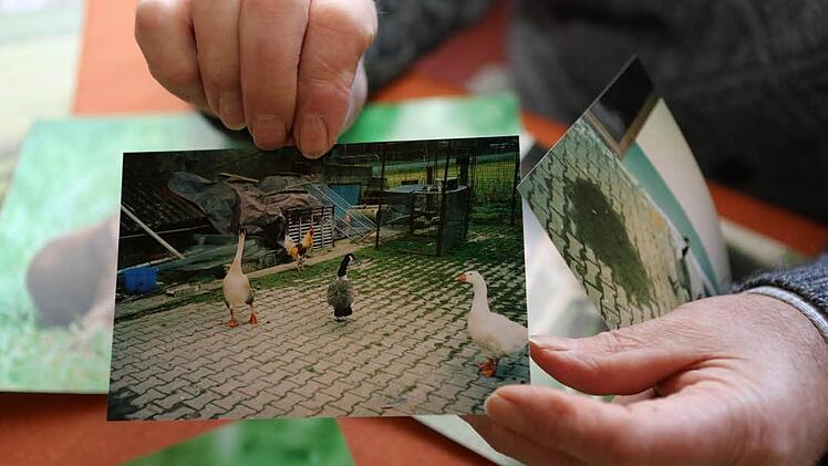 Anton Geiling macht auch selbst Aufnahmen der Tiere, die er großzieht.Foto: Barbara Herbst