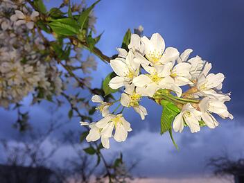 Nach dem diesigen Himmel und der Wärme kommt der Blutregen und dann Gewitter. Foto:  Stephanie Pilick/dpa