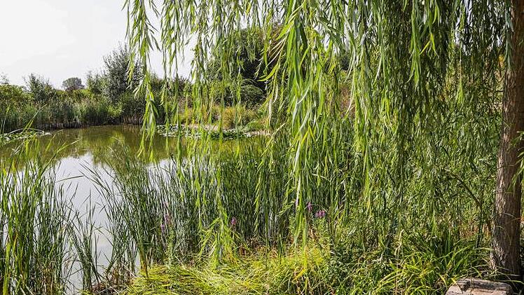 Treffpunkt: Bei der Dorferneuerung wurde auch ein See angelegt.