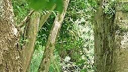 Das Leucherhof-Wehr an der Baunach im Naturpark Ha&szlig;berge