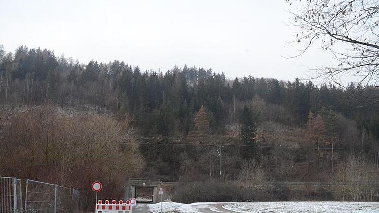 Blick auf das Waldgebiet "Am Rauhen Berg", wo  umfangreiche Fällarbeiten durchgeführt werden.  K.-H. Hofmann
