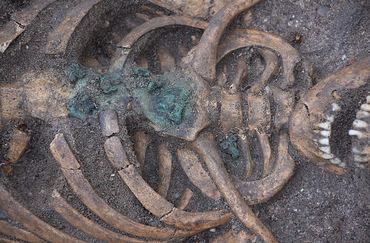 Neustadt bei Coburg: Gruselfund bei Ausgrabung - Archäologen entdecken rund 250 Skelette