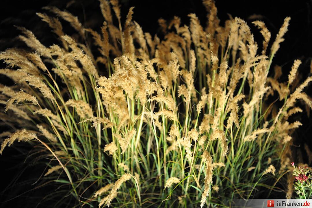 Impressionen der Museumsnacht Coburg