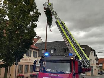 Die Feuerwehr Lichtenfels rückte mit ihrer Drehleiter aus, um den abgeknickten Baum herunterzuholen. Ein Sicherungsseil verhinderte, dass er auf die Straße fiel. Foto: Feuerwehr Ebensfeld