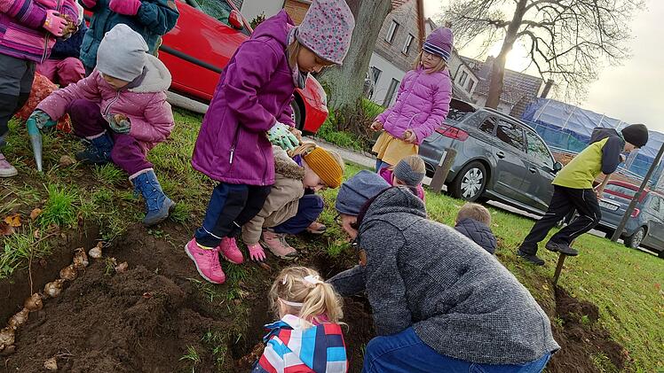 Der Landkreis Lichtenfels bl&uuml;ht auf: "Naturkinder" und Gartenbauvereine setzten 14000 Zwiebeln