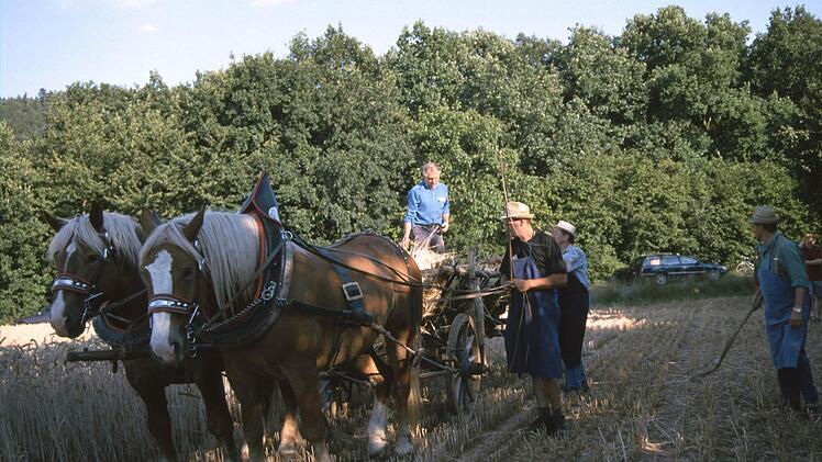 So ging es früher auf dem Land zu. Foto: Ewald Kiesel/Archiv