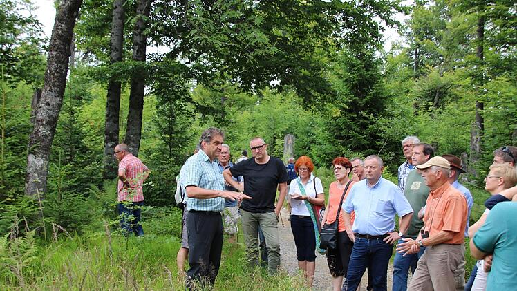 Eindrücke von der Fahrt in den Bayerischen Wald. Foto: Ralf Ruppert