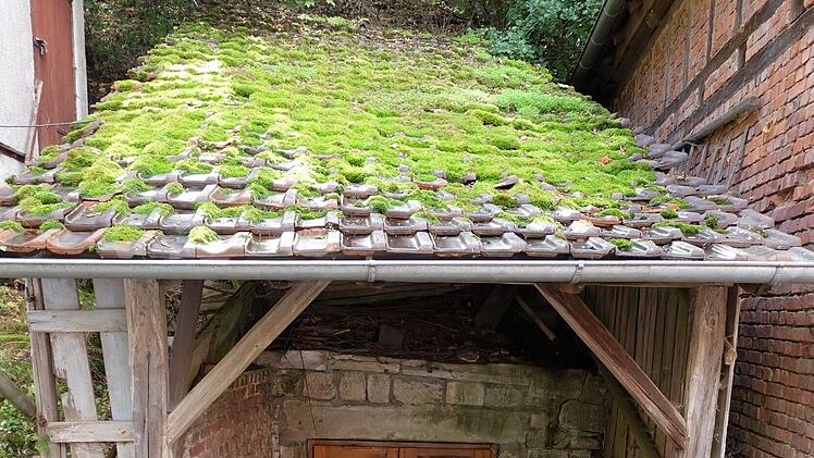 Für Abbruch und Neubau der Überdachung am Felsenkeller in Thundorf sind 26.000 Euro im Haushalt eingestellt.   Foto: Philipp Bauernschubert