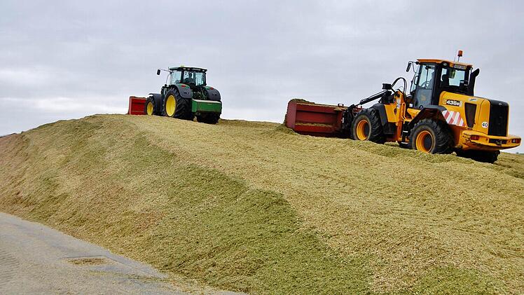 Maisernte für die Biogasanlage in Bad Bocklet. Zwei Bagger verdichten die Mais-Silage für die Lagerung. Foto: Sigismund von Dobschütz