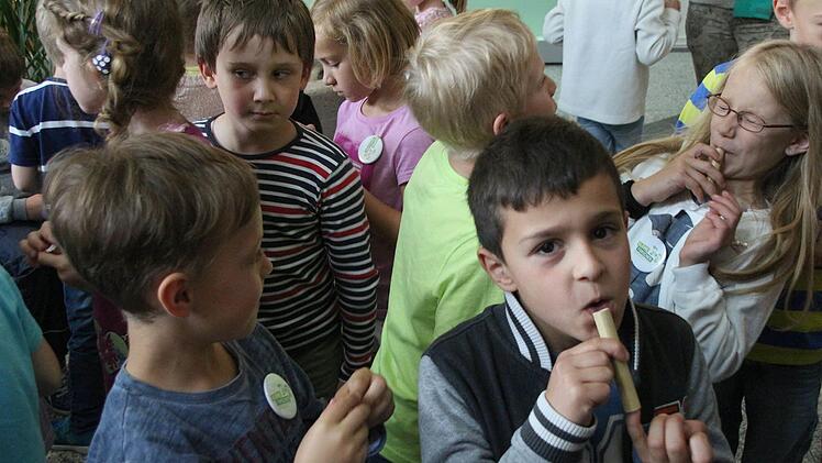 Die Rohrpfeifen funktionieren. Foto: Ulrike Nauer