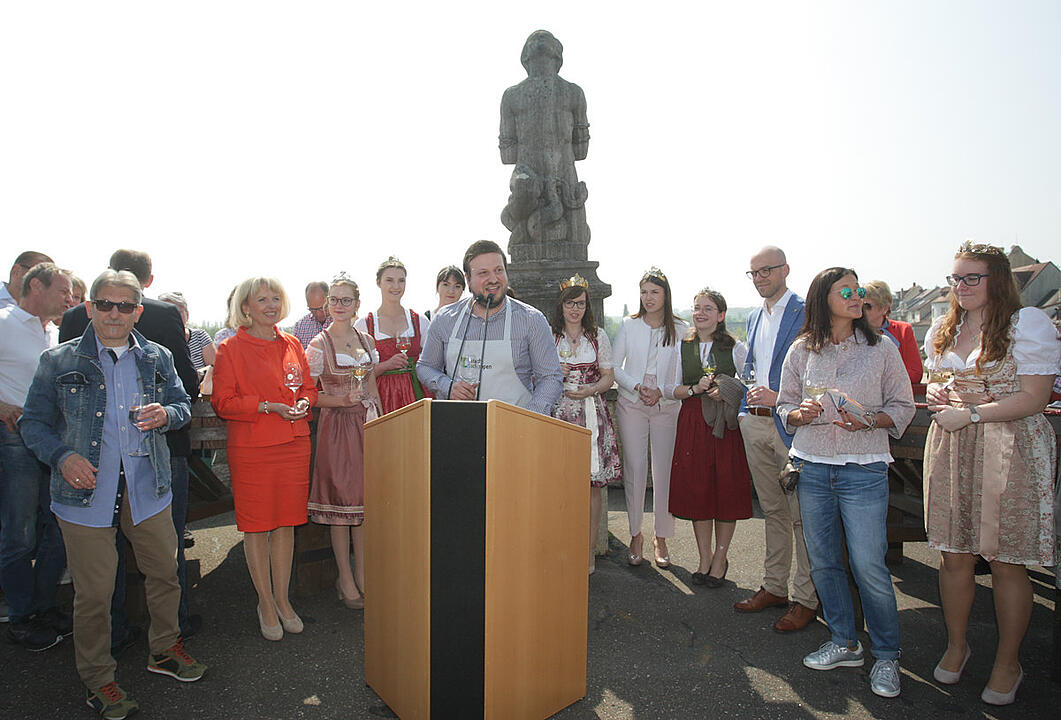 Mainfestival/Stadtschoppen