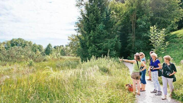 Bei einer Führung kann man landschaftliche Besonderheiten und die typische Lebensart der Chiemgauer kennenlernen. Foto: djd/Chiemsee-Alpenland Tourismus