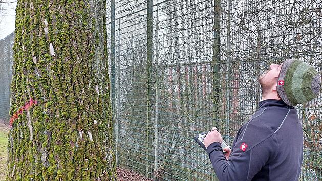 Baumkontrolleur Florian Reuscher &uuml;berpr&uuml;ft regelm&auml;&szlig;ig B&auml;ume und Baumgruppen und tr&auml;gt die Daten in das Baumkataster ein.
