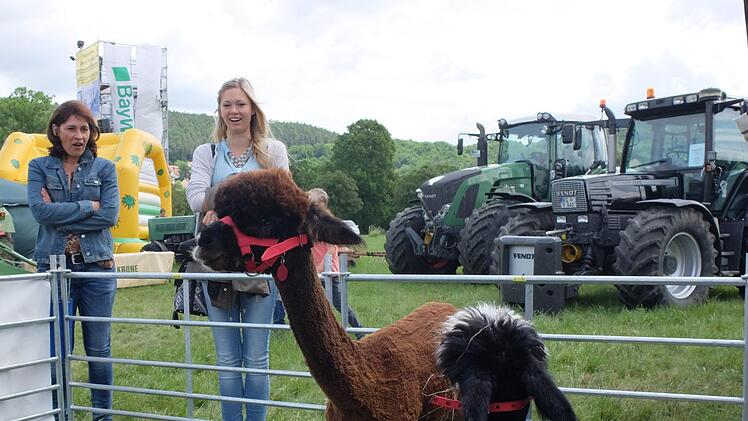 Traktortreffen in Bad Bocklet. Foto: Björn Hein