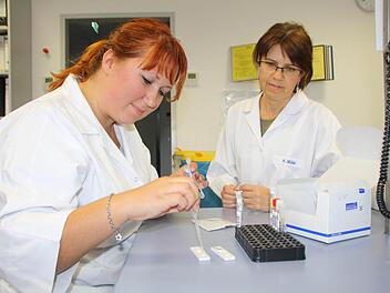 Die Auszubildende Anastasiia Galanzovska (links) bearbeitet unter Anleitung von Laborleiterin Swetlana Müller Proben bei Laboklin. Foto: Ralf Ruppert