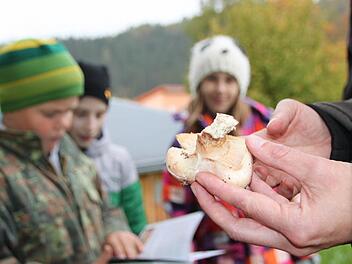 Haus der Schwarzen Berge: Die Junior Ranger machen einen Ausflug in die Pilze. Foto: Ulrike Müller