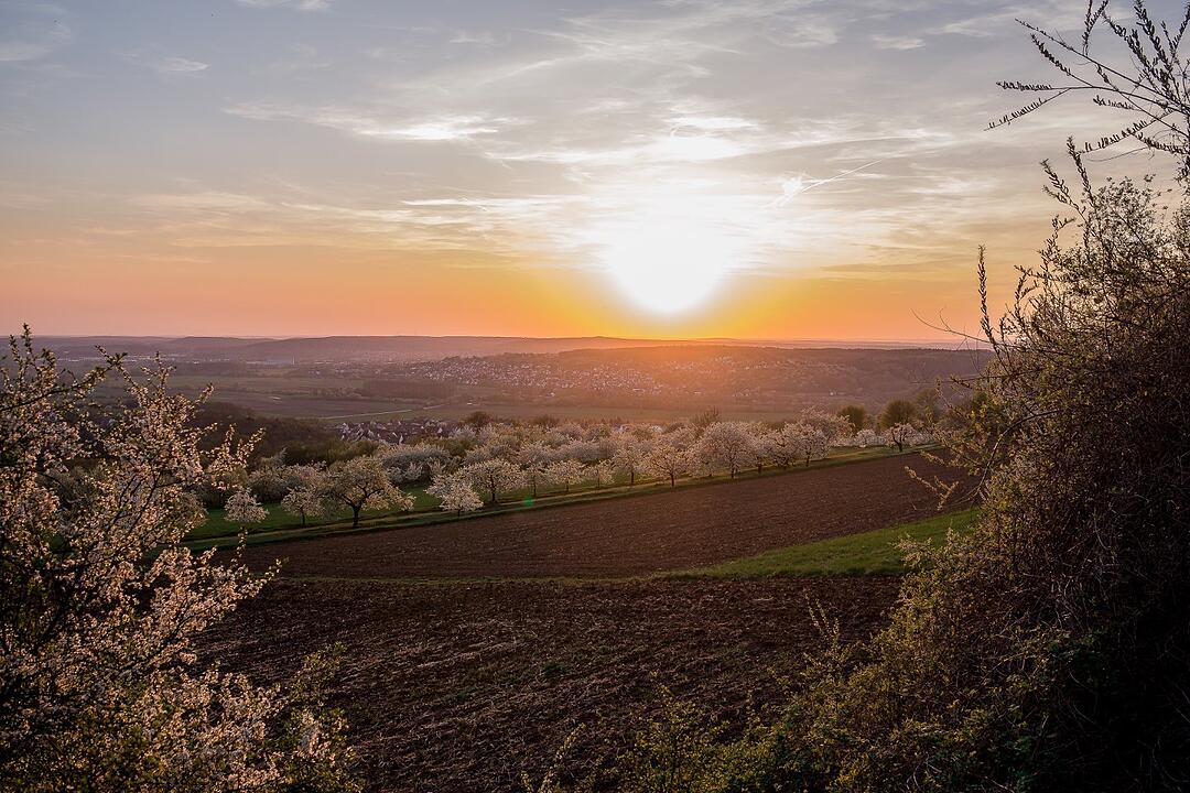 Frühling in Forchheim und Umgebung: Die schönsten Fotos unserer Nutzer