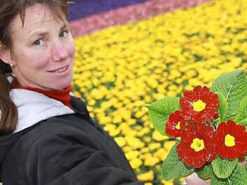 Gudrun Röder hält ein rotes "Primelschiffchen" ins Blau-lila-gelb-weiße Blütenmeer.  Fotos: Diana Fuchs