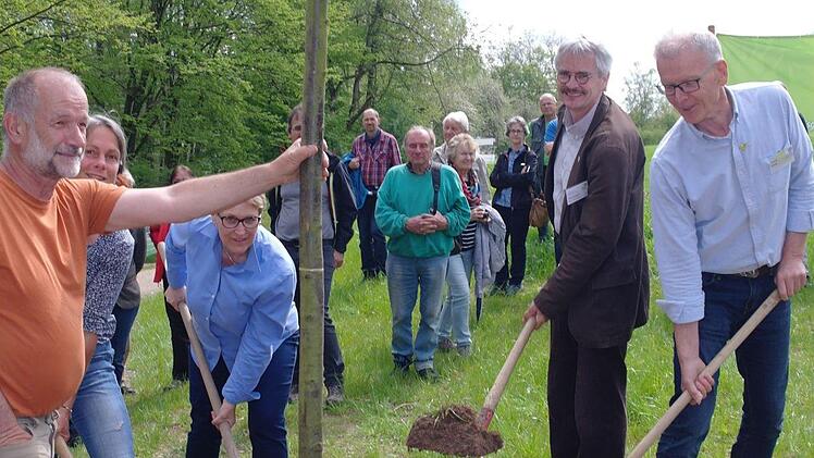 Passend zum BN-Logo wurde bei der Eröffnung der Biberplattform eine Linde gepflanzt. Foto: Stephanie Elm