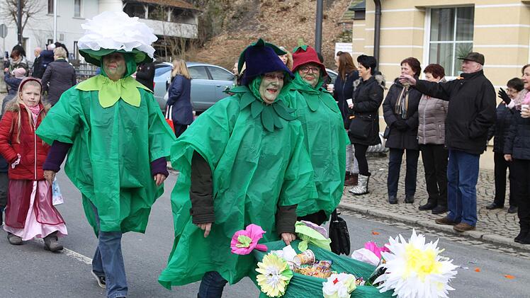 Impressionen vom Faschingsumzug in Wallenfels Foto: Michael Wunder