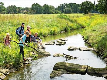 Das Wasser steht im Blickpunkt einer Exkursion in Baunach.  Fotos: pr