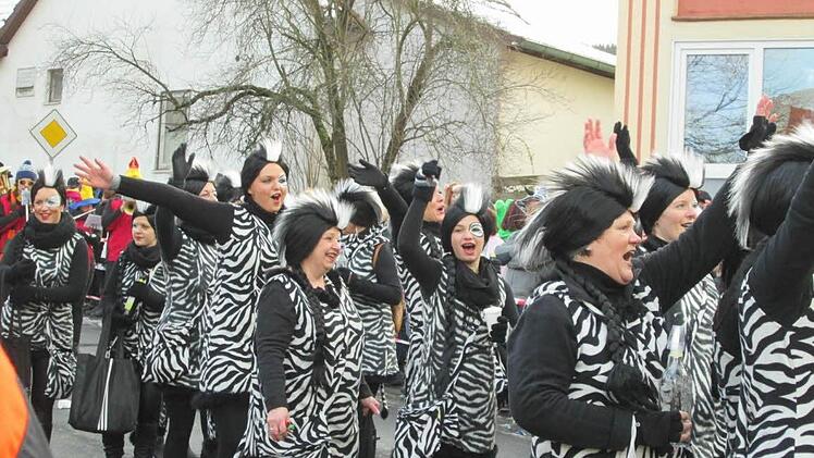 Eine Herde Zebras, die Gymnastikgruppe Schwarzenfels