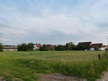Das Ackerland am Birkenweg in Igelsdorf wird der Standort des neuen Kindergartens. Pauline Lindner