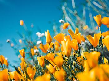 Wetter Frühling