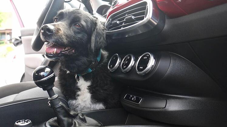 Gewerbetag in Untererthal. Foto: Gerd Schaar