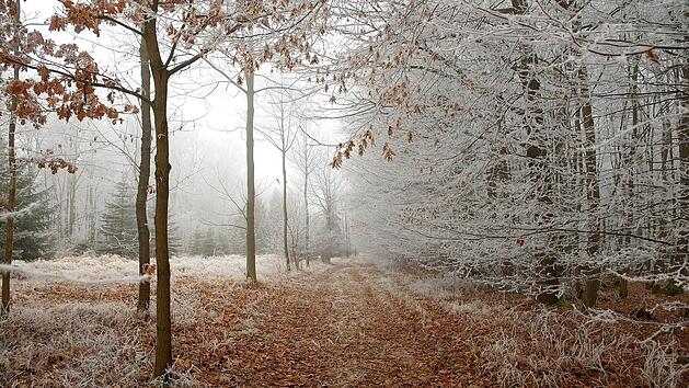 Arktische Kaltluft dringt nach Franken vor
