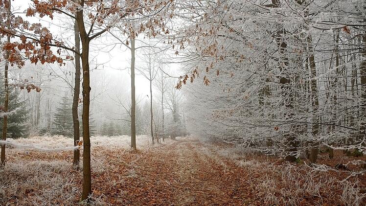 Wetter in Franken: "Ab Sonntag allgemein Dauerfrost" - wird auch Schnee fallen?